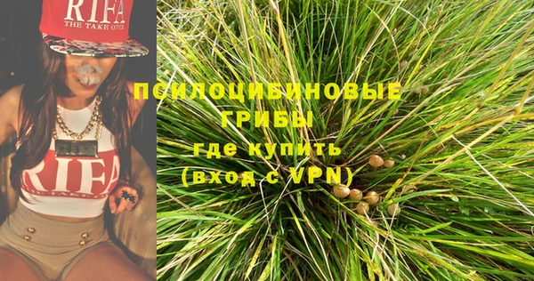 шишки Белокуриха