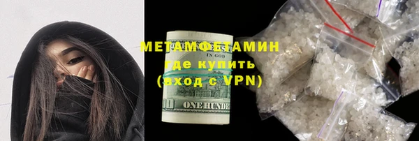 шишки Белокуриха