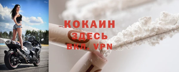 шишки Белокуриха