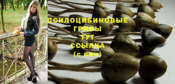 шишки Белокуриха